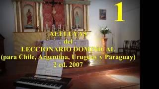 ALELUYA Litúrgico nº 1  Del Leccionario Dominical [upl. by Carolee597]