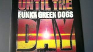 Funky Green Dogs  Until The Day Low Pass Speed Bump Mix [upl. by Ecargyram]