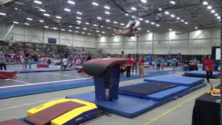 Alicia Fitton GTCOhio  L10 Vault 2017 Athlete Warrior Challenge [upl. by Arabeila33]