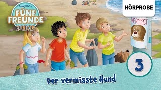 Fünf Freunde Junior  Folge 3 Timmy der MeisterdetektivDer vermisste Hund  Hörprobe zum Hörspiel [upl. by Isiad]