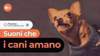 5 Suoni che i Cani Amano  Suoni per Cani [upl. by Moulden487]