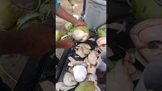 Madurese peoples expert skill in peeling coconutsASMR shorts coconut [upl. by Assert]