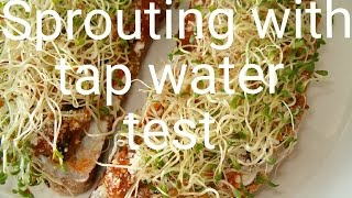 Sprouting seeds in tap water and more test [upl. by Ilowell]