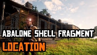 Abalone Shell Fragment Location in Red Dead Redemption 2 [upl. by Ahsac765]