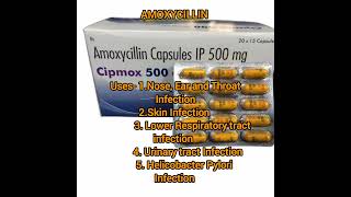 Amoxycillin Capsule penicillin Antibiotics use Side effectsshort videos [upl. by Gabriela]