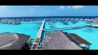 Centara Grand Island Resort amp Spa Maldives [upl. by Jorry]