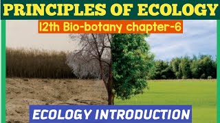 12th standard biobotany Chapter 6 Principles Of EcologyECOLOGY 61161412th SCERT BIOLOGY [upl. by Flem]