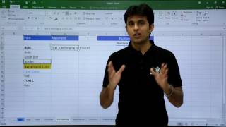 MS Excel  Formatting [upl. by Ynelram]