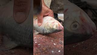 Amazing Supar Fast Hilsa Fish Cutting Skllis shortvideo fishcutting rrrm [upl. by Horace]