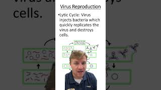 Lytic vs lysogenic cycles [upl. by Lean335]