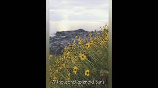 A Thousand Splendid Suns by Khaled Hosseini Audiobook [upl. by Bale]