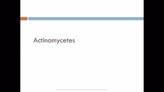 Actinomycetes and Madura foot [upl. by Charis205]