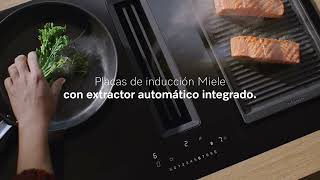 Placa de inducción con extractor integrado  Una vez Miele siempre Miele [upl. by Ayinat87]