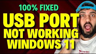 USB Port Not Working Windows 11 [upl. by Aynos635]