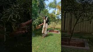 onam photoshoottrending photography photoshootviralvideo shorts [upl. by Sven900]