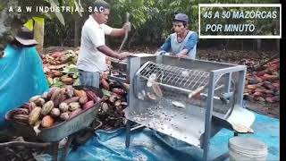 Mi video despulpadora de cacao Perú [upl. by Nessy168]