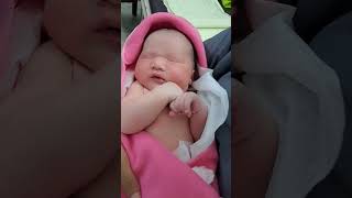 GOLU MOLU NEWBORN BABY DARLING ⚘️🌺🌿💕trending sweetheart cutebaby shortsvideo [upl. by Hervey924]