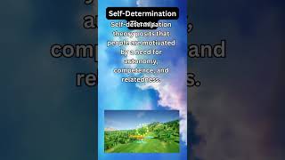 Self Determination Theory [upl. by Wong]