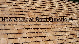 Whats eating your Roof Cedar Shakes Roof Cleaning 🪵 Wood Roof Cleaning Process [upl. by Ayahsal252]