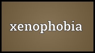 Xenophobia Meaning [upl. by Thorlie]