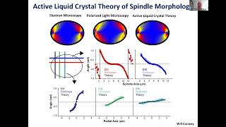 Dan Needleman Active Matter Microtubules and Cell Division Part 2 [upl. by Namaj233]