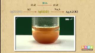 22溶解平衡移动的应用2 水溶液中的离子平衡（2） 高中化学 [upl. by Rosenberg]