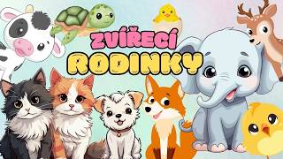 Poznáváme MLÁĎATA zvířat 🐣  Zábavné vzdělávací video pro děti  Zvířecí rodinky  Stíny zvířat 🐶 [upl. by Law]