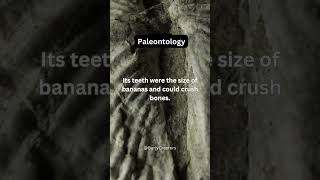 Science Fact  Paleontology  Science 12  shorts science facts paleontology viral [upl. by Eocsor]