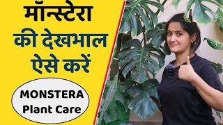 Monstera Plant Complete Care Tips😍 मॉन्स्टेरा की देखभाल करने का सही तरीका 🌿 [upl. by Ellehcear865]