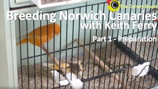 Breeding Norwich Canaries with Keith Ferry  Part 1 Preparation for Breeding [upl. by Samala849]