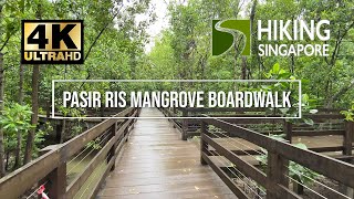 Pasir Ris Park Mangrove Boardwalk  Hiking Singapore 4K HDR [upl. by Anerhs688]