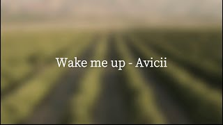 【和訳】Wake me up  Avicii [upl. by Aiuqet479]