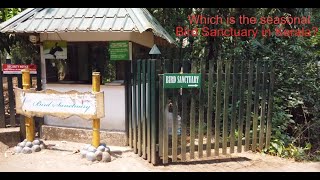 Kumarakom Bird Sanctuary Review Kerala India [upl. by Ahc103]