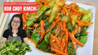 From Garden to Table Homemade BOK CHOY KIMCHI  Alternative to your traditional Kimchi [upl. by Haidabo]