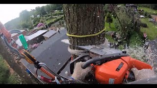 Best Quality POV arborist tree removal by certified Arborist GOPRO TREE WORK [upl. by Huey482]