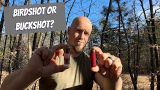 Birdshot or Buckshot for Home Defense [upl. by Celestina]