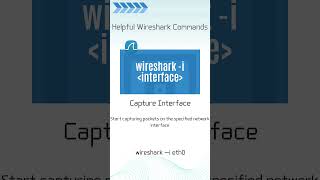 Wireshark Command Capture Interface [upl. by Leahey]