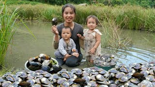 How to harvest giant oysters to sell at the market  cook oyster porridge for your children to eat [upl. by Tremayne]