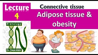 Adipose tissue and obesity [upl. by Idac]