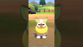 ワンパチ Yamper【ポケモン剣盾】 [upl. by Nwahsauq]