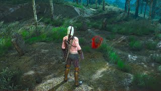 Yes 90 of players have never seen THIS  The Witcher 3 [upl. by Labina]