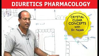 Diuretics  Pharmacology  Dr Najeeb [upl. by Ailemaj]