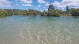 A mangrove creek near Hawks Nest Australia [upl. by Hsreh891]