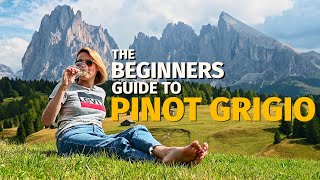 Wine Grapes 101 PINOT GRIGIO [upl. by Irac612]