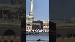 Kya Shan Hai Jiski Jo Ummi Laqabi Hai woh Mera Nabi Mera Nabi Hai shorts viralvideo shortsfeed [upl. by Julie512]