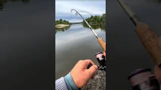 quotSafely Removing a Fishing Hook Essential Tips for Luya Pike Fishing Beginnersquot [upl. by Dusa]