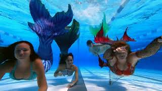 MK SWIM WITH MERFAMILY  Real Life Mermaids [upl. by Zarger]