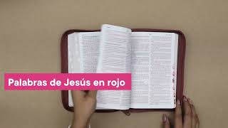 BIBLIA RV1960 LETRA GRANDE TAMAÑO MANUAL CINDICE CAFE LEON [upl. by Adrell]