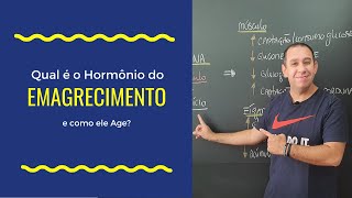 Qual é o Hormônio do Emagrecimento e como ele Age [upl. by Adnoek654]