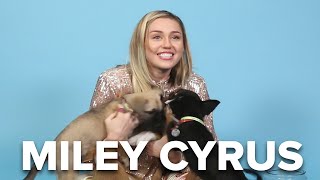 Miley Cyrus Plays With Puppies While Answering Fan Questions [upl. by Longan914]